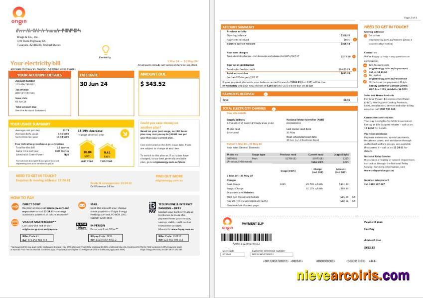 Australia New South Wales (NSW) Origin electricity business utility bill forma 1-2 pages